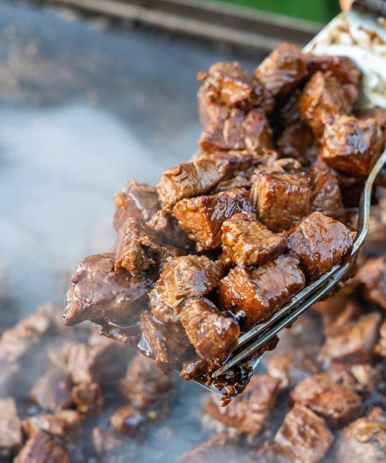 hibachi-protein